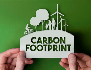 Carbon Footprint Meaning and Reduction Strategies for Your Company