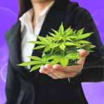 Cannabis Startups: 3 Fundamentals for Success