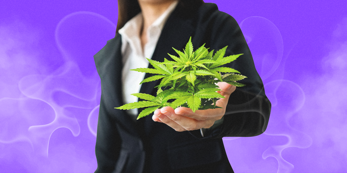 Cannabis Startups: 3 Fundamentals for Success